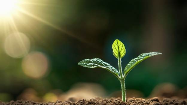 Zacznie się już jutro. Wyczekiwany przełom dla..