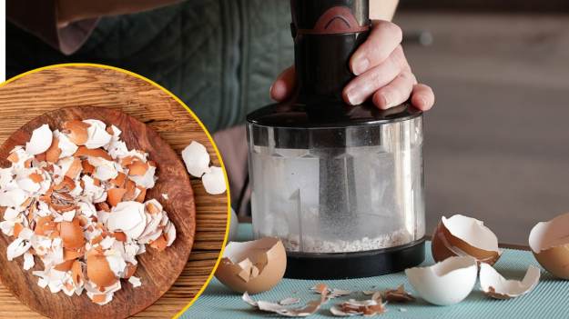 Czy można jeść skorupki jaj? Cała prawda o..