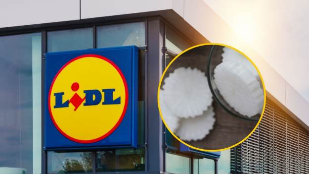 Zapomniany skarb z warzywniaka. W Lidlu sprzedają..